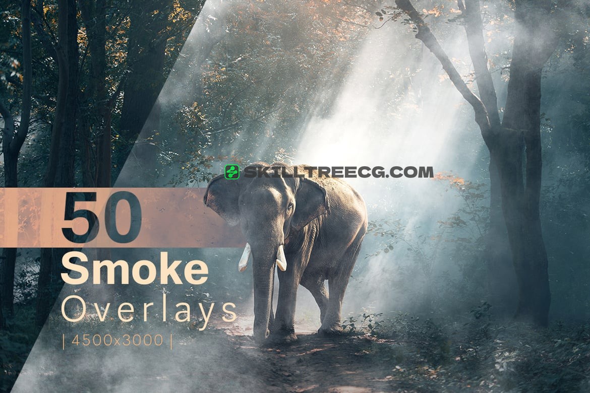 50 Smoke Overlays（115378）-技能树